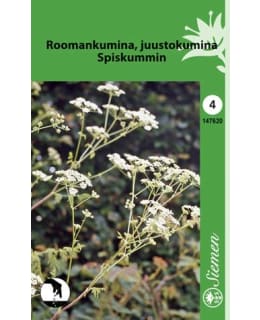 FI:ROOMANKUMINA Main Image
