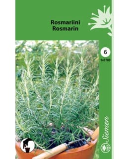 ROSMARIINI SIEMEN Main Image