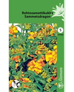 ROHTOSAMETTIKUKKA SIEMEN Main Image