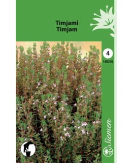 FI:TIMJAMI Main Image