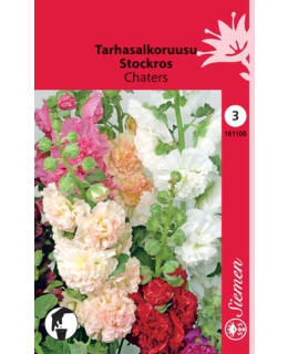 FI:SALKORUUSU CHATERS Main Image