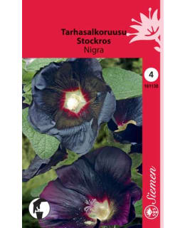 TARHASALKORUUSU NIGRA  SIEMEN Main Image