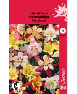 JALOAKILEIJA MRS SCOTT SIEMEN Main Image