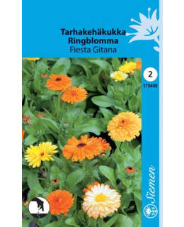 FI:KEHÄKUKKA FIESTA GITANA Main Image