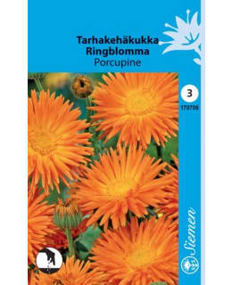 TARHAKEHÄKUKKA PORCUPINE  SIEMEN Main Image