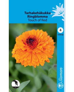 TARHAKEHÄKUKKA TOUCH OF RED  SIEMEN Main Image