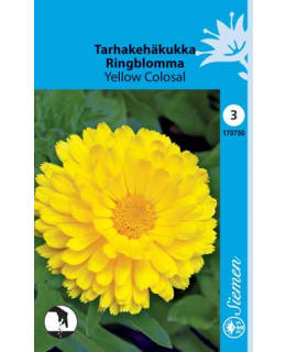 FI:KEHÄKUKKA YELLOW COLOSAL Main Image