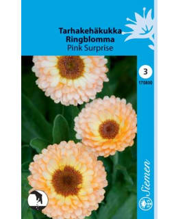 TARHAKEHÄKUKKA PINK SURPRISE  SIEMEN Main Image
