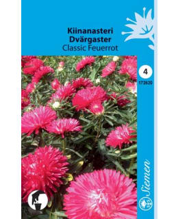 KIINANASTERI  CLASSIC FEUERROT SIEMEN Main Image