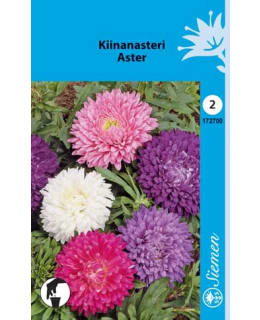 FI:KIINANASTERI SEK. Main Image