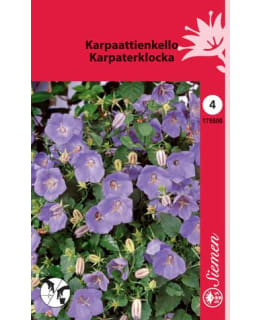 KARPAATTIENKELLO SIN. SIEMEN Main Image