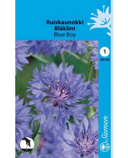 FI:RUISKAUNOKKI SIN. Main Image