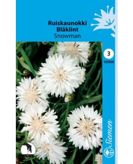 RUISKAUNOKKI SNOWMAN VALKOINEN  SIEMEN Main Image