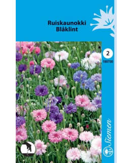 FI:RUISKAUNOKKI SEK. Main Image