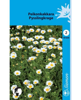 PEIKONKAKKARA  SIEMEN Main Image