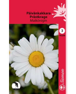FI:PÄIVÄNKAKKARA Main Image