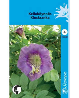 FI:KELLOKÖYNNÖS Main Image