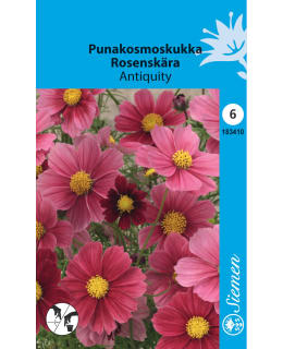 PUNAKOSMOS 'ANTIQUITY'  SIEMEN Main Image