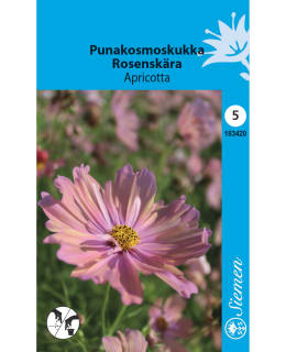 PUNAKOSMOS APRICOTTA SIEMEN Main Image