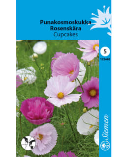 PUNAKOSMOS CUPCAKES Main Image