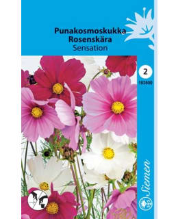 FI:PUNAKOSMOSKUKKA SEK. Main Image