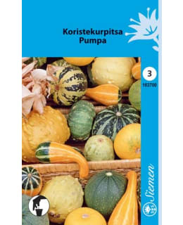 KORISTEKURPITSA SEKOITE  SIEMEN Main Image