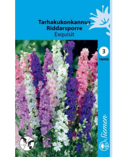 TARHAKUKONKANNUS EXQUISIT SIEMEN Main Image