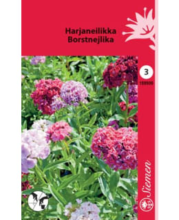 FI:HARJANEILIKKA KERR. Main Image