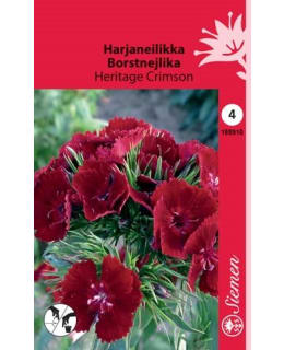 HARJANEILIKKA HERITAGE GRIMSON SIEMEN Main Image