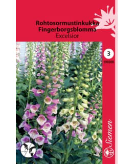 FI:ROHTOSORMUSTINKUKKA Main Image