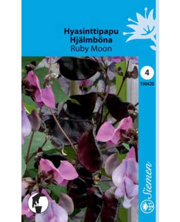 HYASINTTIPAPU KÖYNNÖS Main Image