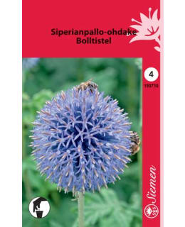 FI:SIPERIANPALLO-OHDAKE Main Image