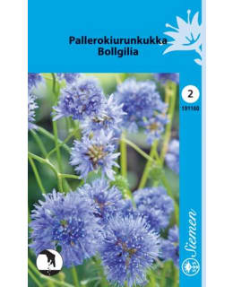 PALLEROKIURUNKUKKA  SIEMEN Main Image