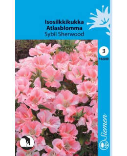 FI:SILKKIKUKKA "SYBIL SHERWOOD" Main Image