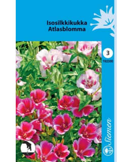 ISOSILKKIKUKKA SEKOITE SIEMEN Main Image