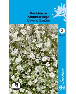 KESÄHARSO COVENT GARDEN  SIEMEN Main Image