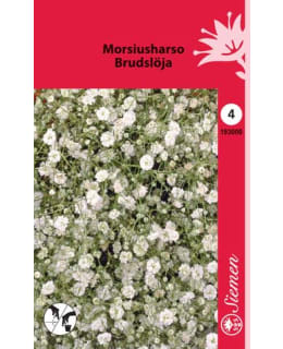 FI:MORSIUSHARSO KERR.VALK. Main Image