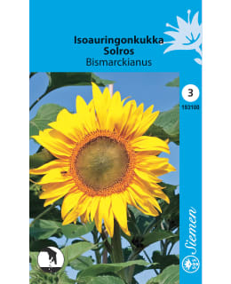 AURINGONKUKKA "BISMARCKIANUS" SIEMEN Main Image