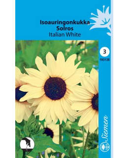 FI:ISOAURINGONKUKKA "ITALIAN WHITE" Main Image