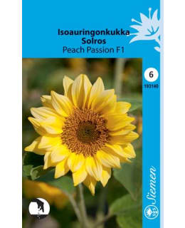 ISOAURINGONKUKKA 90-120cm PERSIKANVÄR. Main Image