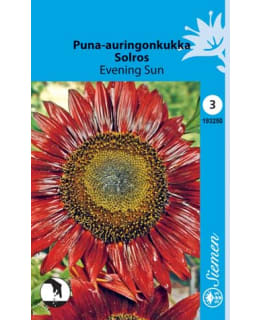 FI:ISOAURINGONKUKKA PUN. Main Image