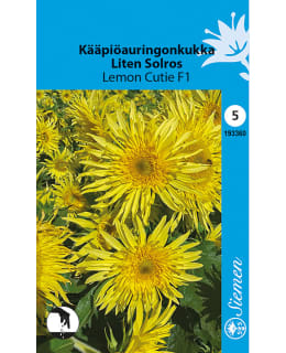 KÄÄPIÖAURINGONKUKKA LEMON CUTIE F1   HR5 Main Image