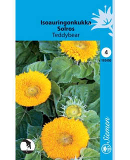 ISOAURINGONKUKKA TEDDYBEAR  SIEMEN Main Image