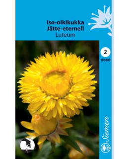 FI:JÄTTIOLKIKUKKA "LUTEUM" KELT. Main Image