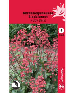 KORALLIKEIJUNKUKKA RUBY BELLS SIEMEN Main Image