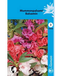 FI:KAMELIAPALSAMI Main Image
