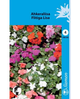 AHKERALIISA SEK. Main Image