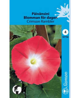 FI:PÄIVÄNSINI CRIMSON Main Image