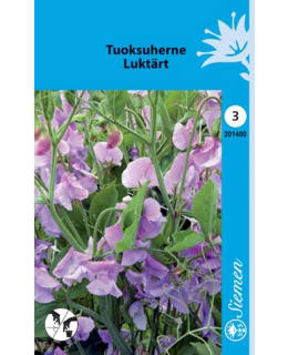 TUOKSUHERNE LAVENTELINSININEN SIEMEN Main Image