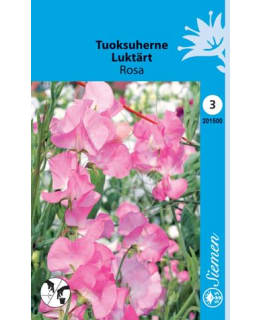 TUOKSUHERNE  RUUSUNPUNAINEN  SIEMEN Main Image